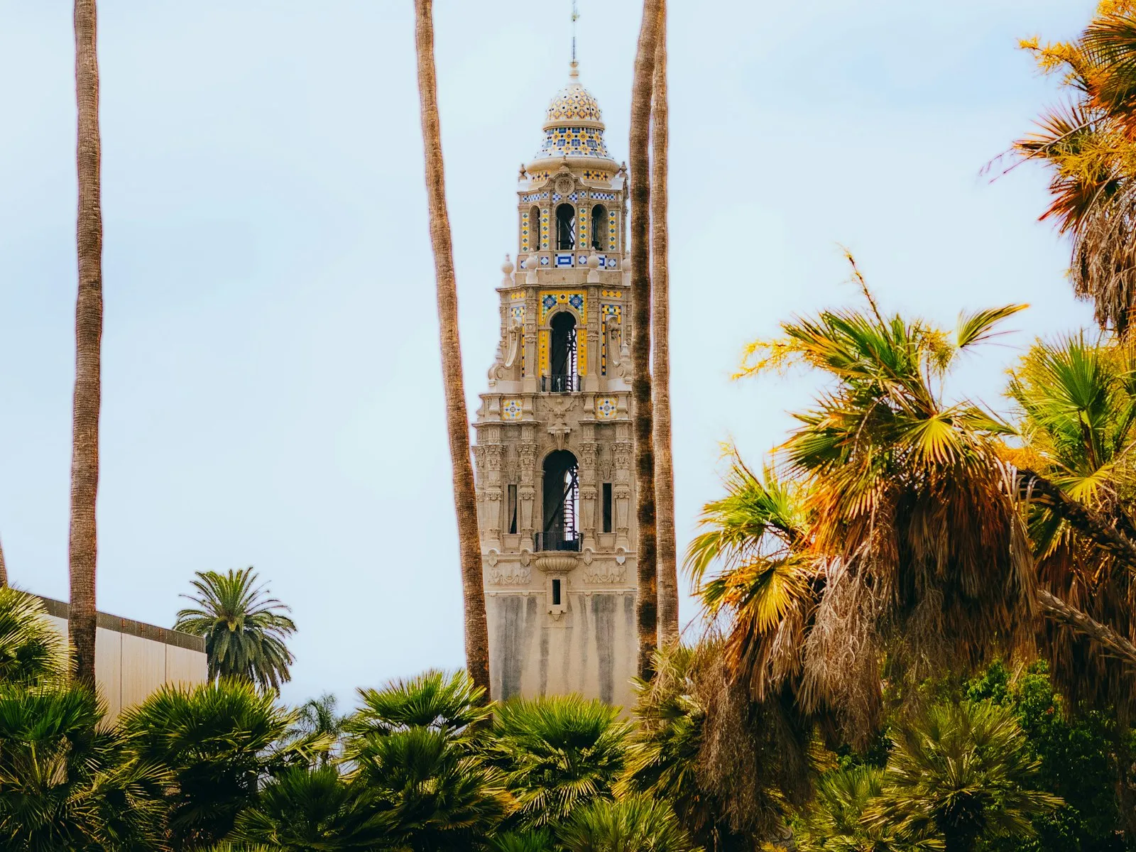 棕榈树间的 California Tower,塔顶是蓝黄相间的彩瓷圆顶