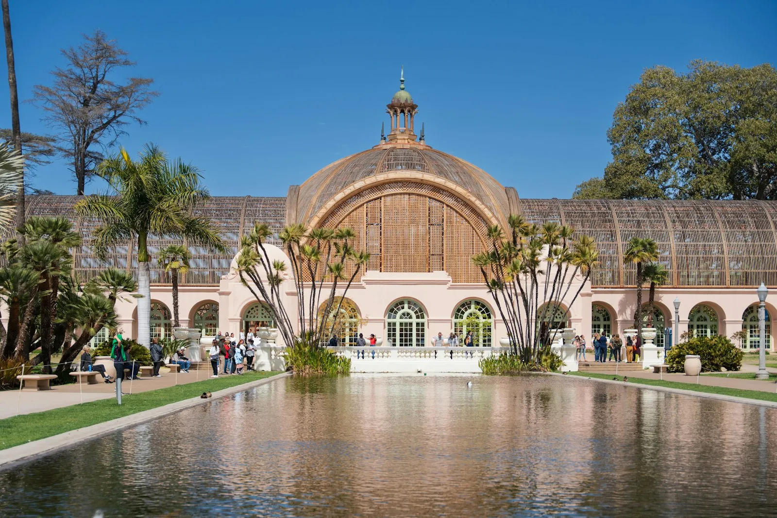 Balboa Park 的 Botanical Building:木格栅穹顶倒映在 Lily Pond 里,两侧是棕榈树
