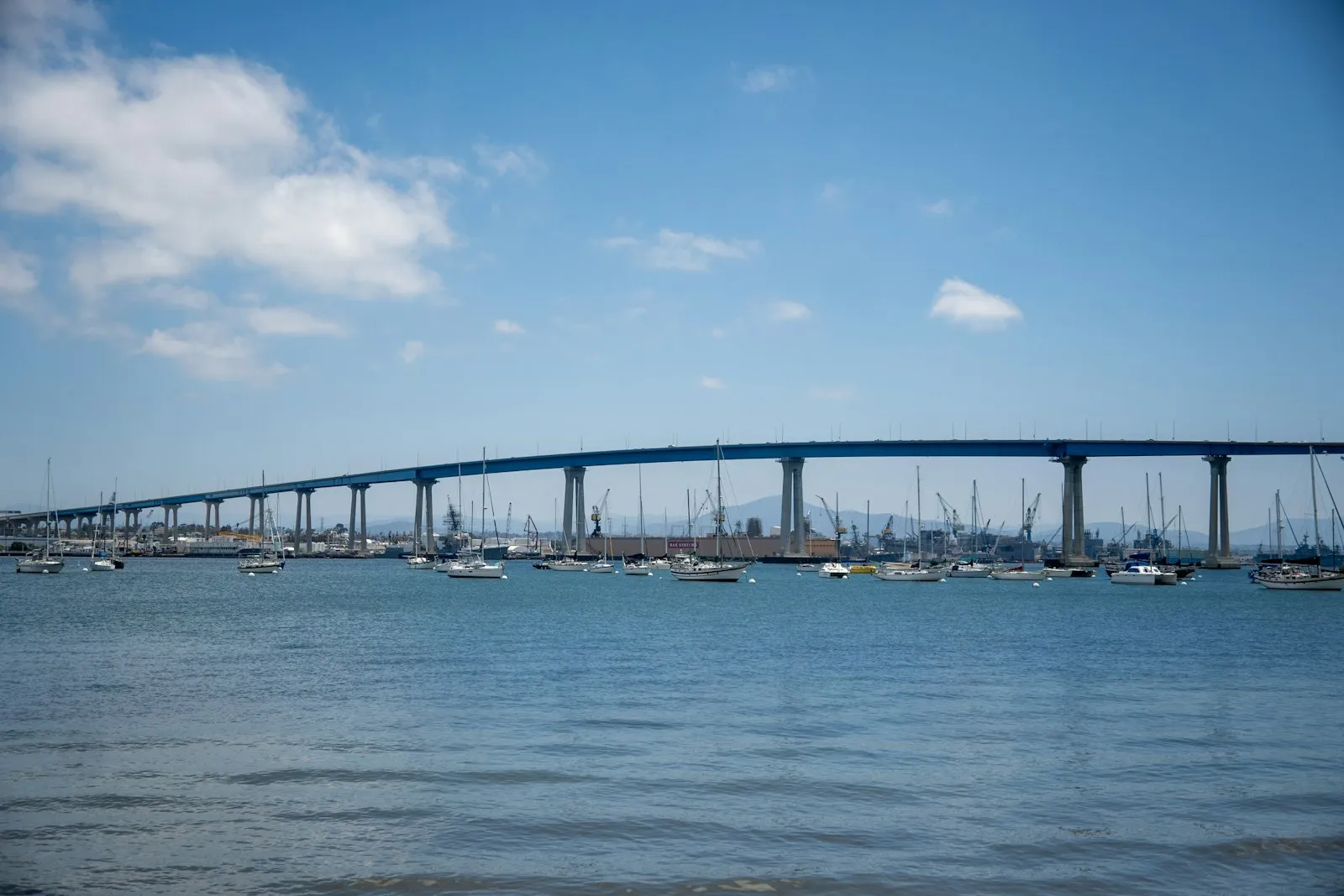 蓝色的 Coronado Bridge 弧线跨过海湾,湾里停着许多帆船