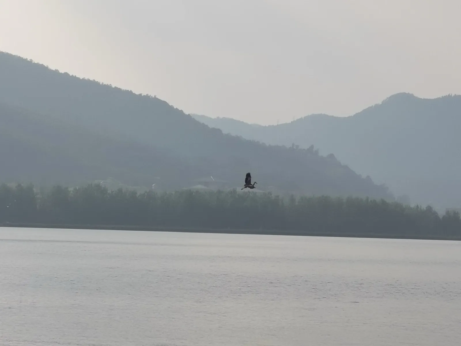 滇池湖面上空一只长腿水鸟低低掠过，远处是云雾笼罩的连绵山峦