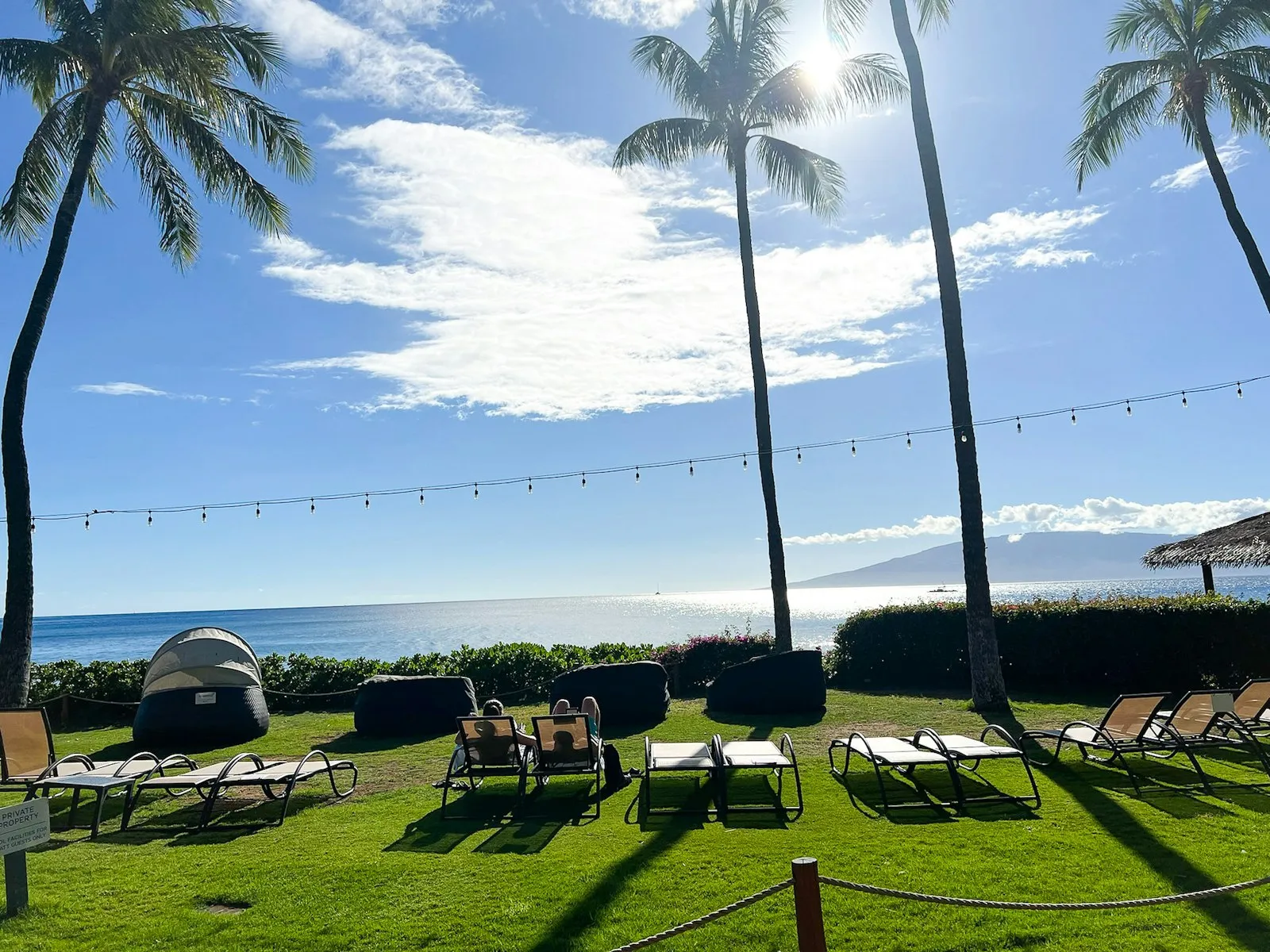 Hyatt Regency Maui 海边草坪上的躺椅、棕榈树和串灯，远处是海面与岛影
