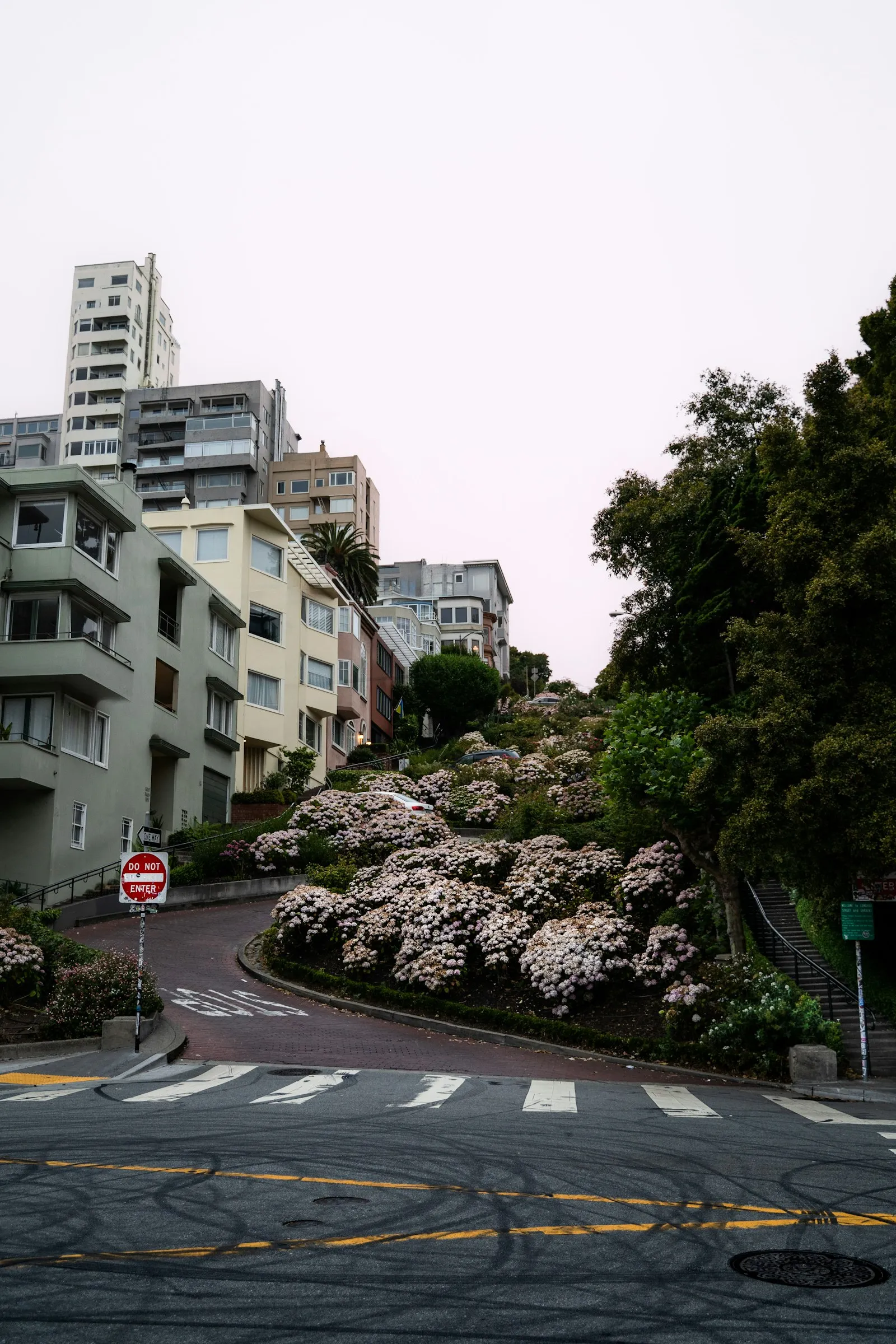 从 Leavenworth 底部仰拍九曲花街的绣球花坛与弯道