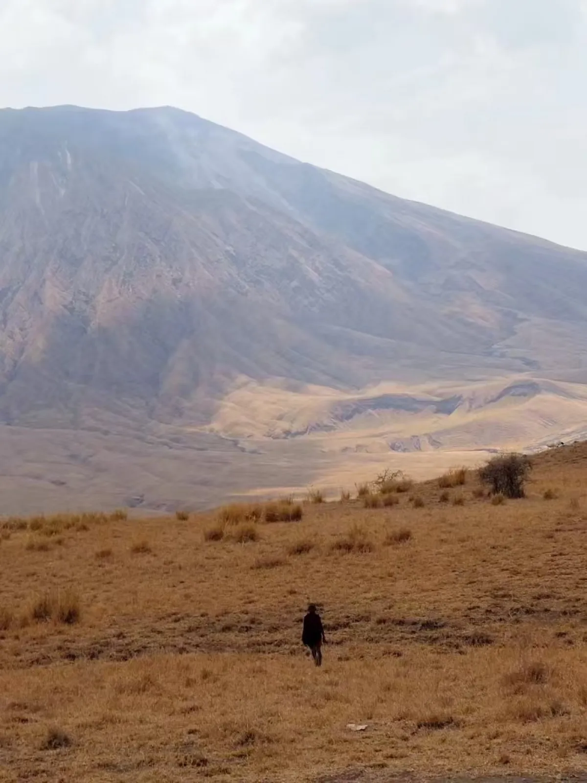 纳特龙湖畔灰褐色的山峰矗立在干枯草地之上