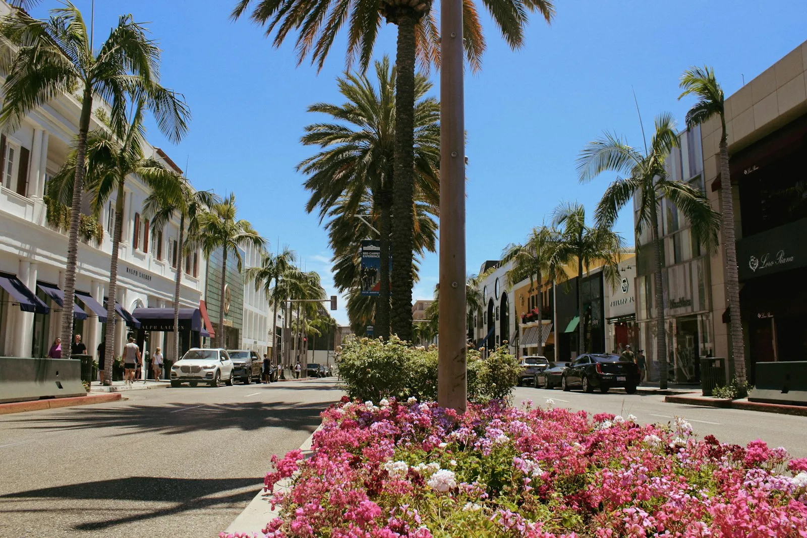 Rodeo Drive 的棕榈树与花坛,两侧是名店橱窗