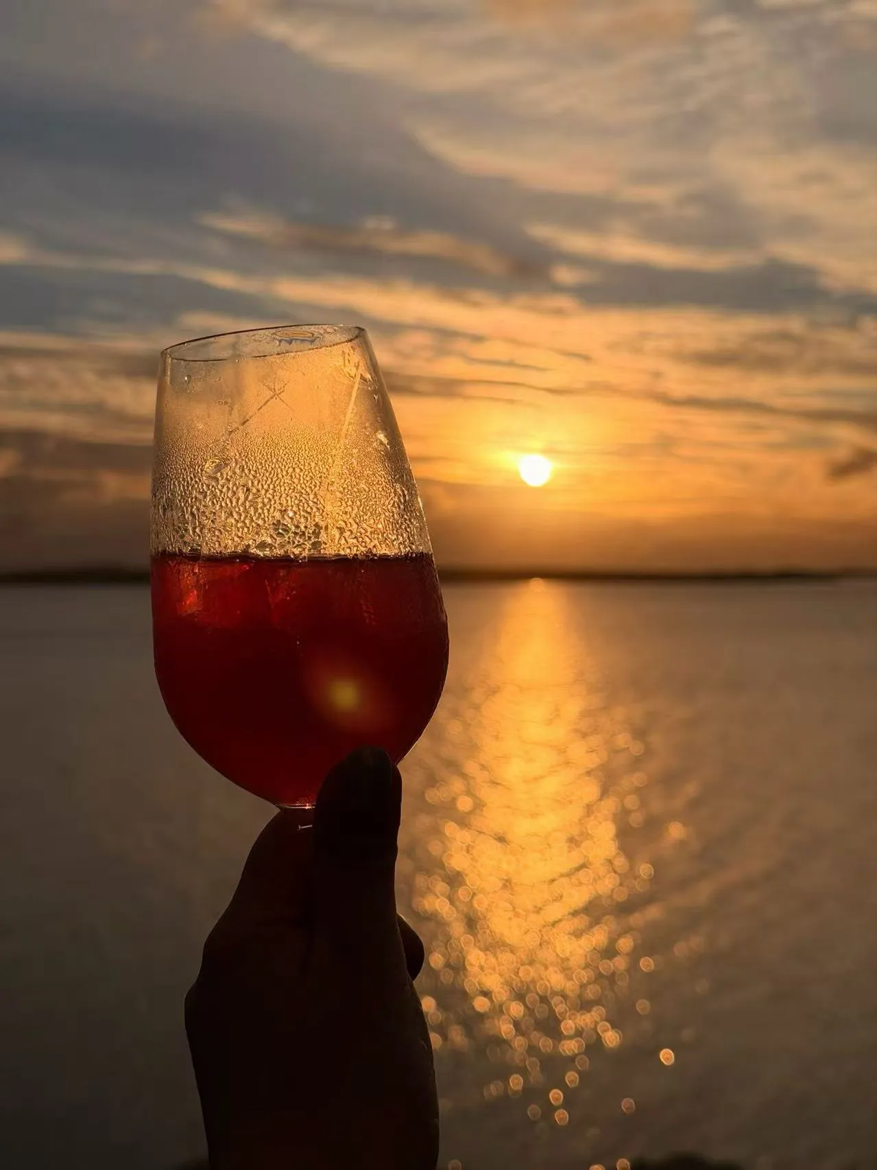 手举一杯红酒，背景是夕阳沉入海平面