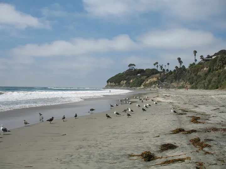 Encinitas 的 Swami’s 冲浪点崖顶俯瞰海面与浪区