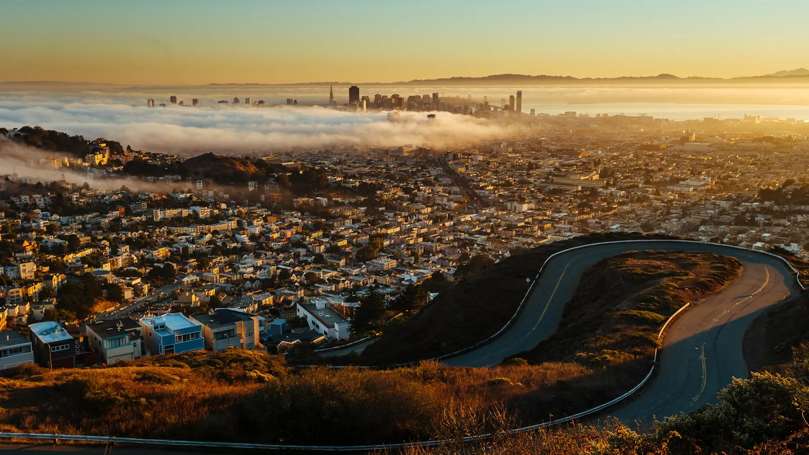 从 Twin Peaks 俯瞰旧金山，市区被低雾半掩，Twin Peaks Blvd 的弯道在右前景