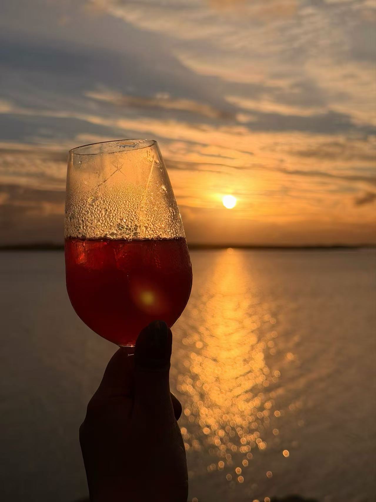 手举一杯红酒，背景是夕阳沉入海平面