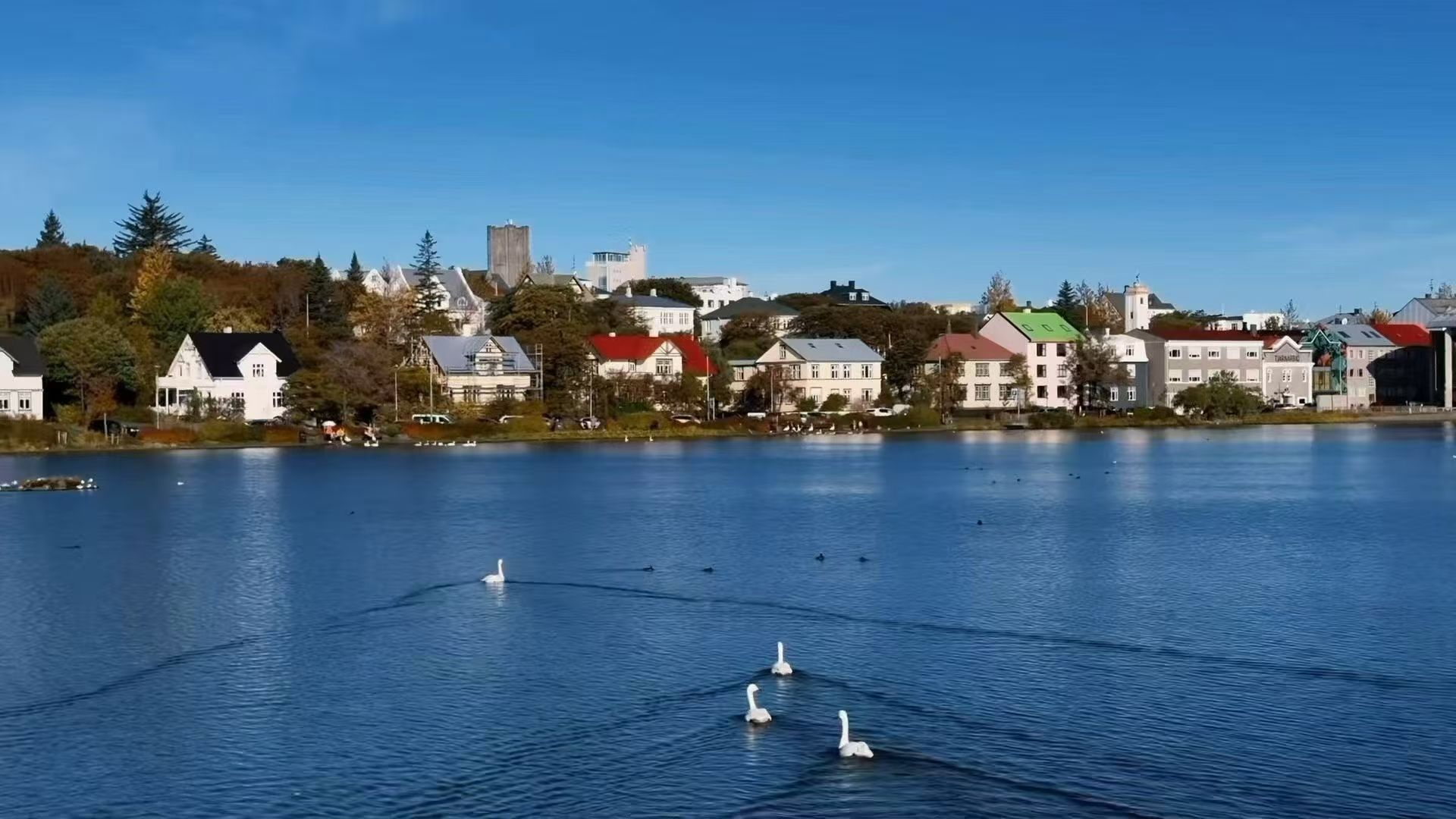 特约宁湖上的天鹅，湖边是色彩缤纷的小屋
