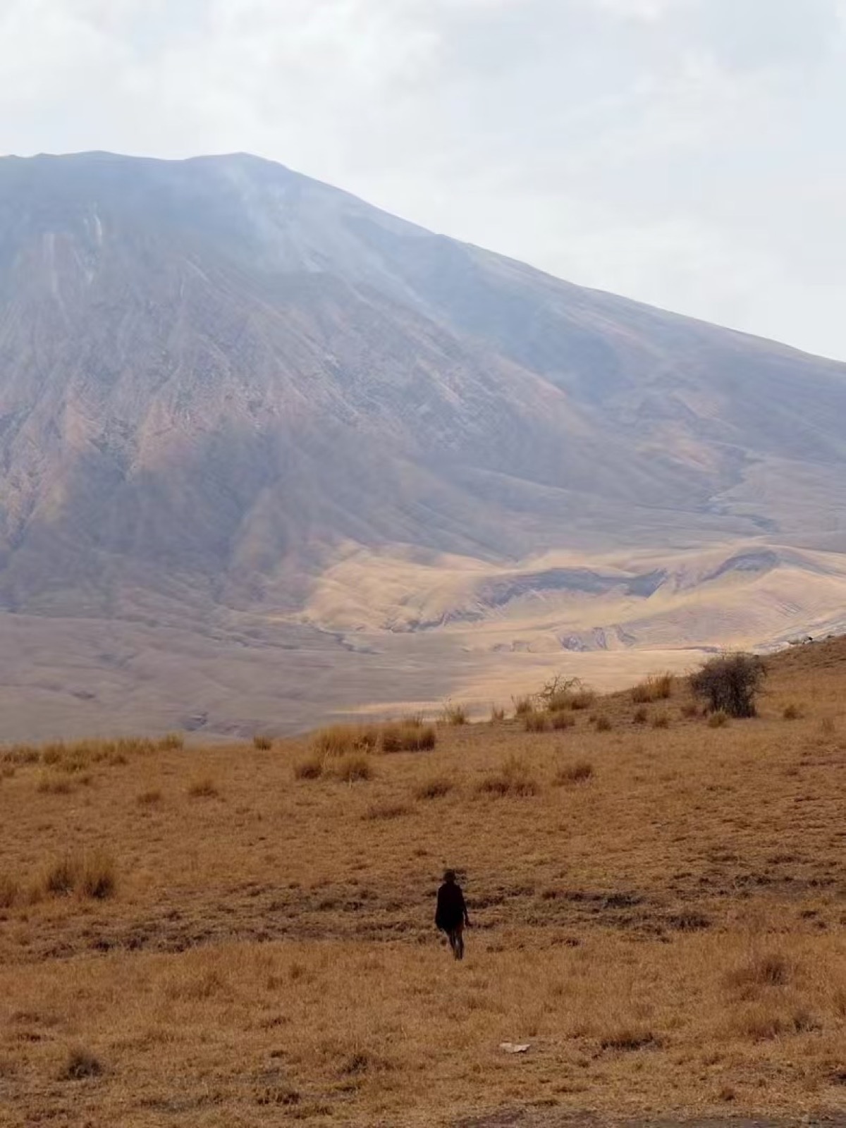 纳特龙湖畔灰褐色的山峰矗立在干枯草地之上